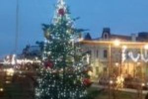 Brazii de Crăciun, colectaţi de la platforme în perioada 11.01-12.01.2020