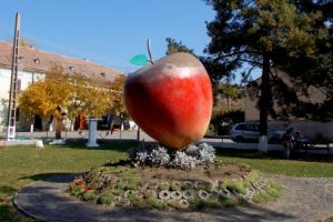 Proiect de 5,3 milioane lei pentru reabilitarea şi modernizarea străzilor din comuna Batoş