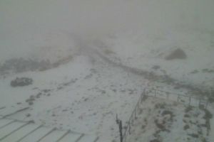 A început NINSOAREA: Unde au căzut primii fulgi în România / FOTO