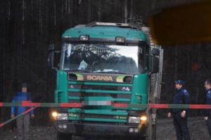 Amenzi consistente şi lemne confiscate