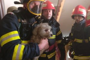 Un copil si un catel, salvati in urma unui incendiu, la Tulcea