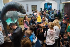 Muzeele arădene, tot mai vizitate: În 2019, numărul vizitatorilor a crescut cu aproape 60%