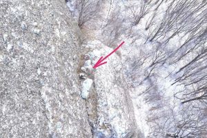 Căţel salvat dintr-o râpă de salvamontiştii harghiteni