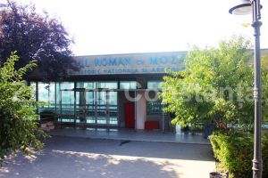 Premiera pentru Edificiul Roman cu Mozaic:  La cererea unui potential ofertant, termenul licitatiei a fost extins