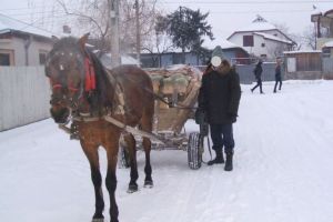 Căruţaşi amendaţi de poliţiştii harghiteni, pe raza comunei Dealu