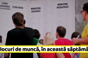 NEAMȚ: 53 NOI locuri de muncă, comunicate în această săptămână