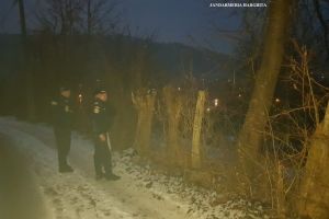 Ursul a vizitat grădina cu pomi fructiferi a unui localnic din Praid