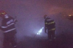 Incendiu la Sibiu – Un adăpost pentru animale distrus de flăcări