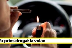 NEAMȚ: Tânăr prins drogat la volan