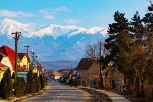 Miros insuportabil la Șelimbăr – Totul de la deversările ilegale de fecale în Cibin şi Seviş