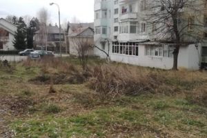 ALEEA VOINICILOR din TRIVALE