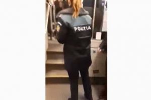 Trei imigranţi au terorizat pasagerii unui tren: „Se plimbau printre noi să vadă de la cine pot fura”