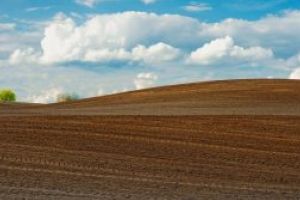 Ministrul Oros: Alocăm terenuri pentru tinerii fermieri