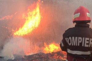 Incendiu la un atelier de confecţii metalice din Satu Mare
