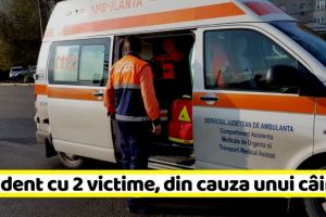 NEAMȚ: O femeie şi o fată de 10 ani, rănite după ce şoferiţa a evitat un câine