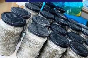 Politia Transporturi Constanta: Perchezitii la persoane banuite de infractiuni la regimul piscicol. Un barbat, prins in flagrant in timp ce vindea icre negre