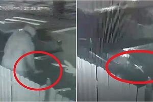 FOTO&VIDEO. Blestem sau ameninţare?! Cruce desenată pe o maşină din Satu Mare