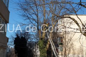 Incendiu pe bulevardul I.C. Bratianu din Constanta. Intervin pompierii (galerie foto+video)