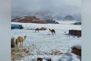 FOTO VIDEO A nins în deşert. Fenomen extrem în Arabia Saudită