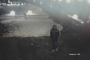 FOTO Furt la un restaurant din Sibiu – Hoţul a luat un telefon de 500 de euro