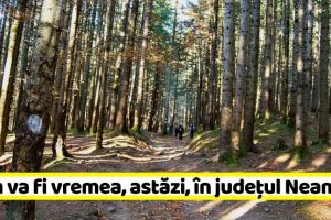 METEO: Cum va fi vremea, astăzi, în Neamţ. Prognoza meteo (14 ianuarie)