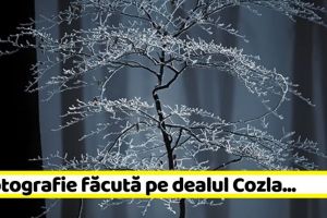 NEAMȚ: O fotografie făcută pe dealul Cozla, câştigătoarea unui concurs organizat de Sony