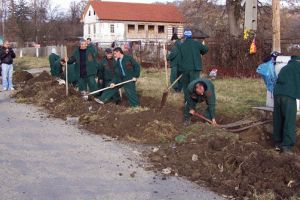 Proiect de lege: Deţinuţii apţi pentru muncă, obligaţi să lucreze 