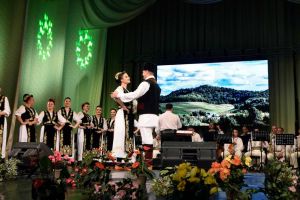 Din suflet de român: spectacol folcloric cu ocazia Unirii Principatelor Române finanţat de CJ Timiş