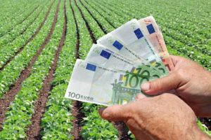 Sibieni trimişi în judecată pentru obţinerea de fonduri de la APIA cu acte false