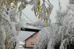 IDILIC: Salon de evenimente unic în Sibiu la Pensiunea Ferma Brânduşa de pe Valea Avrigului