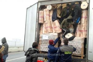 Doisprezece cetateni din Irak si Turcia, depistati ascunsi intr-un automarfar la P.T.F. Nadlac II (galeriie foto+video) 