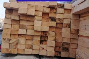 Cu ochii pe vânzătorii de lemne din Bihor: Ce au descoperit poliţştii