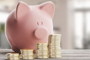 Bihorel: Zece efecte ale dublării alocaţiei pentru copii