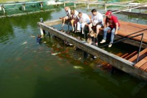 120 de familii ajutate de  ”Dr. Peştişor-Cercul Părinţilor”