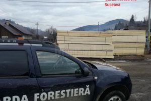 Control amplu la firma fiului unui consilier de la Garda Forestieră Suceava, amendată pentru ...