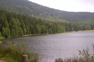 Lacul Sfânta Ana, se află în pericol din cauza unor peşti. Borboly Csaba a mers cu experţii pentru a găsi soluţii