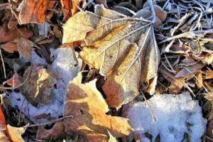 Cum va fi VREMEA până în 26 ianuarie 2020, în Transilvania şi la munte. ANM a publicat prognoza meteo pentru următoarele 2 săptămâni