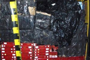 DUBA ERA PLINĂ CU ȚIGĂRI