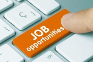 Oferta locurilor de munca disponibile din aceasta saptamana prin AJOFM Maramures