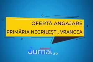 Primăria Negrileşti angajează specialist pe cultură