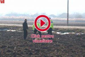 O nouă vânătoare ilegală de câini s-a lăsat cu împuşcarea a trei animale