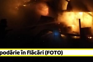 NEAMȚ: Gospodărie în flăcări (FOTO)