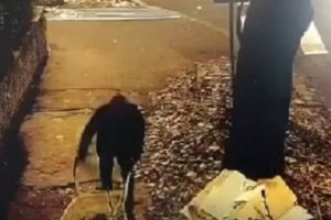 Amendat cu 3000 de lei după ce a fost prins de poliţiştii locali cărând gunoaie cu roaba
