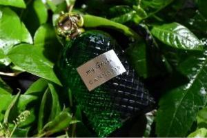 Parfumul cu cannabis, furtună într-un pahar cu apă…