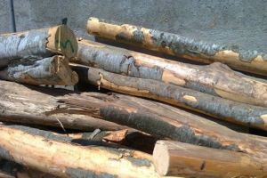 Material lemnos de provenienţă ilicită, găsit de poliţişti în maşini şi căruţe la Remetea şi Cristuru Secuiesc