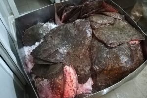 Sute de kilograme de peste transportate fara documente legale, confiscate de politistii de frontiera in P.T.F. Vama Veche