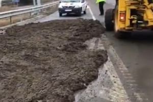 UPDATE. DRDP Constanta: Breteaua de acces spre Autostrada A4, blocata. Ingrasaminte naturale, imprastiate pe carosabil (galerie foto+video)   