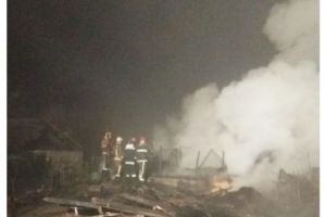 Animale arse într-un incendiu în Sânmărtinu de Câmpie