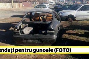 NEAMȚ: Amendaţi pentru gunoaie (FOTO)