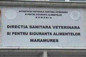 Masuri restrictive aplicate la nivelul focarului de influenta aviara